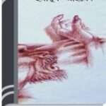 Ayomoy By Humayun Ahmed অয়োময়