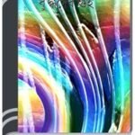 Choraidihor Shalukful By Buddhadeb Guha চোরাইডহর শালুকফুল