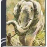 Rijudar Sathe Lobongi Bone By Buddhadeb Guha ঋজুদার সাথে লবঙ্গি বোনে