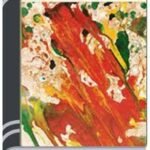 Swanirbachito Kishore Samagra By Mahasweta Devi স্বনির্বাচিত কিশোরে সমগ্র