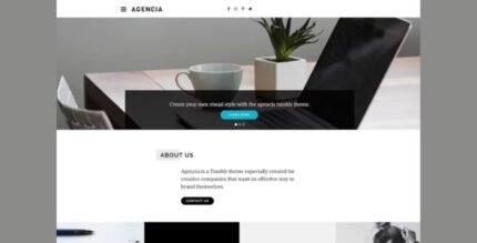 Agencia Tumblr Theme