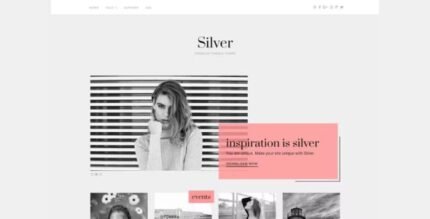 Silver Tumblr Theme